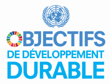 Objectifs de développement durable de l'ONU